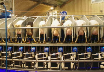 Qlip vertelt over aanpassing kiemgetalmeting