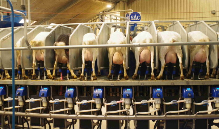 Qlip vertelt over aanpassing kiemgetalmeting