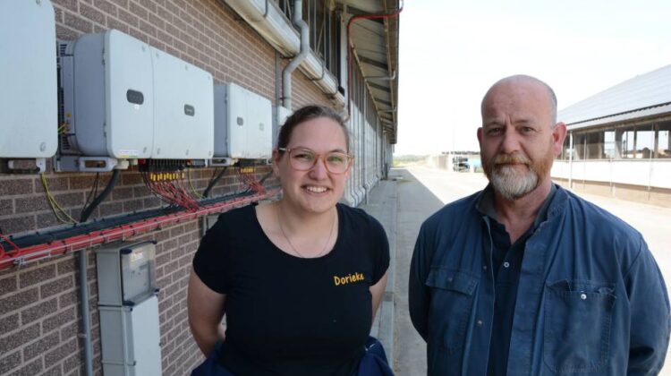 Uiergezondheid zichtbaar maken met doe-het-zelf bacteriologisch onderzoek